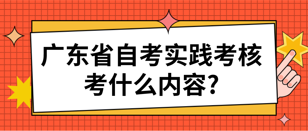 广东省自考实践考核考什么内容?