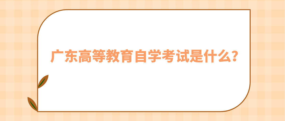 广东高等教育自学考试是什么？