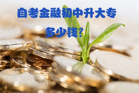 金融